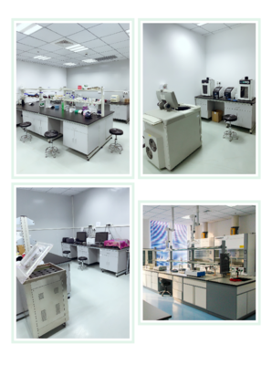 Abbkine偶聯標記技術服務正式上線，引領生物技術開發新篇章