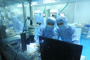 美迪西 分子生物學與生物技術開發服務，驅動創新藥物研發