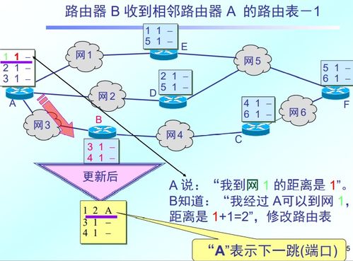計算機網絡層設計 構建高效可靠的信息傳輸框架